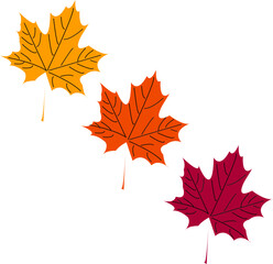 vector image of 3 leaves in several colors