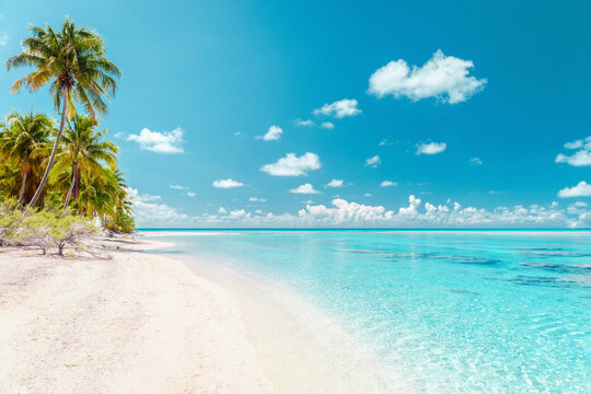 Beach travel vacation tropical paradise getaway on coral reef island atoll with idyllic pristine ocean crystal clear turquoise water lagoon. Pefect honeymoon destination background