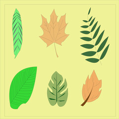 vector images of various types of leaves