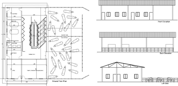 sketch vector illustration of cow farm shed design