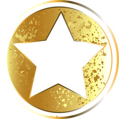 Military Gold Star