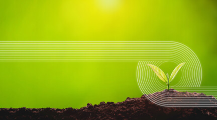 Sustainable environment concept, Planting trees to grow in the soil
