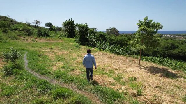 Follow me drone footage using AI of men verifying banana and avocate crop with windmills in the horizon