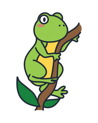 frog amphibian in branch
