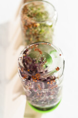 Growing sprouts in a jar
