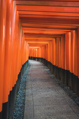 Beautiful Path of Red Tori Gates in Japan for a Tranquil Zen Feel