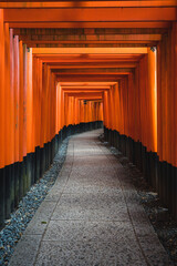 Beautiful Path of Red Tori Gates in Japan for a Tranquil Zen Feel