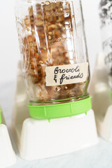 Growing sprouts in a jar