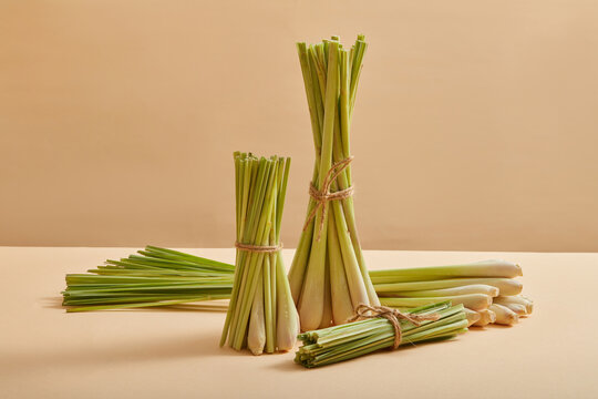 Several bunches of lemongrass (Cymbopogon citratus) are decorated on a pastel background with front view. Lemongrass can be used in cooking or as a herbal to enhance health
