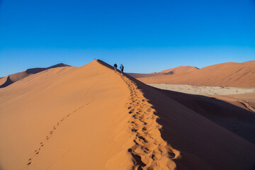 Namib Desert Safari with sand dune in Namibia, South Africa. Natural landscape background at sunset. Famous tourist attraction. Sand in Grand Canyon
