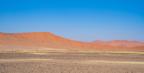 Namib Desert Safari with sand dune in Namibia, South Africa. Natural landscape background at sunset. Famous tourist attraction. Sand in Grand Canyon