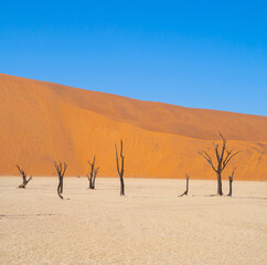 Namib Desert Safari with sand dune in Namibia, South Africa. Natural landscape background at sunset. Famous tourist attraction. Sand in Grand Canyon