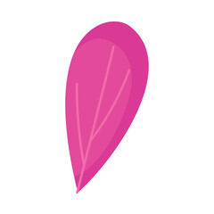 purple leaf plant foliage