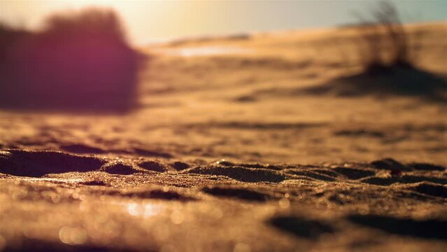 OBX dune sand close up sunset golden hour slow motion 24fps