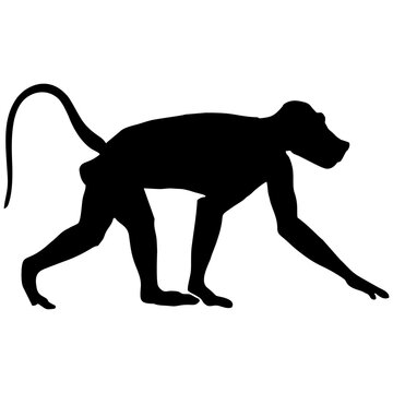 silhouette monkey #2