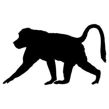 silhouette monkey #1