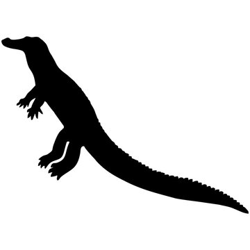 silhouette crocodile #2