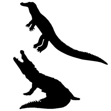 silhouette crocodile #1