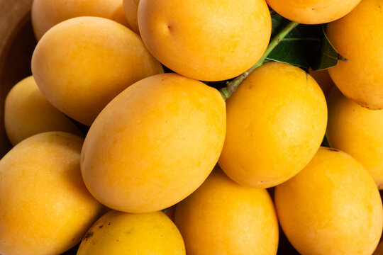 Ripe marian plum