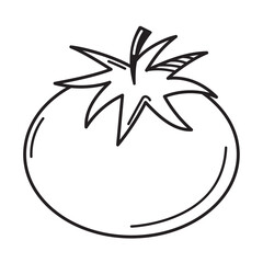 fresh tomato vegetable doodle
