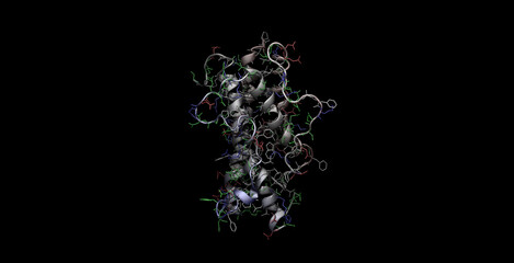 Human growth hormone /somatotropin 3D molecule 4K
