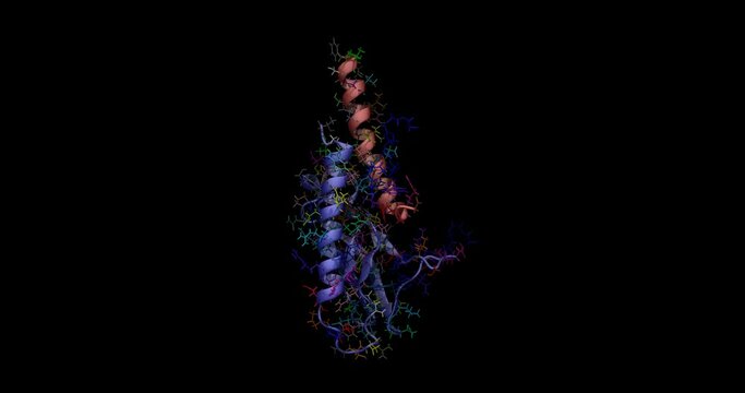 Semaglutide, Ozempic, Wegovy, Rybelsus, antidiabetic medication 3D molecule spinning 4K

