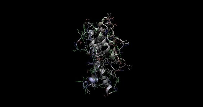 Human growth hormone /somatotropin 3D molecule spinning 4K