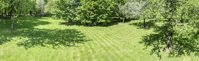 spring scenery. green trees in city park at sunny day. aerial view.