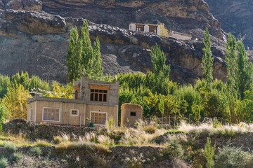 beautiful landscape with green trees and blue sky, mountains in the background at Ladakh, in the Indian Himalayas.