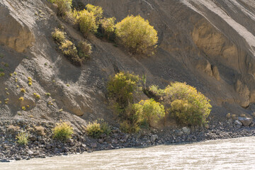 Indus river and mountains on either side at Ladakh, Himalayas, Jammu and Kashmir, Northern India