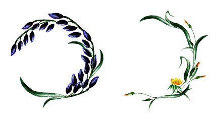 Wildflower wreath. An unfinished wreath of green herbs and yellow flowers, a wreath of dark blue flowers with luscious green leaves. Watercolor illustration by hand on a white background with a place