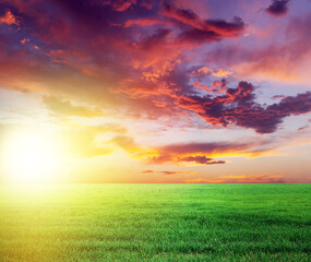 Green grass field and sunset sky