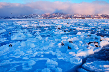 日の出と流氷（羅臼町） © itoh masako