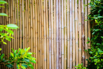 
Partition wall made of bamboo Can be used as a background image in projects. The concept of benefits from bamboo
