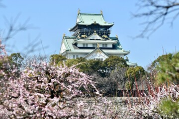 大阪城の梅林