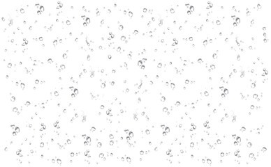 water rain drop drops transparent rainy droplets