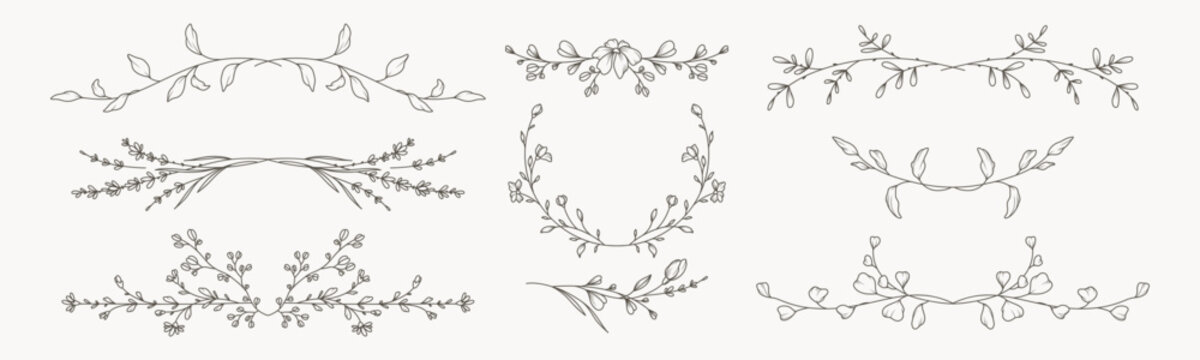 Hand drawn vintage floral borders, frames, dividers with flowers, branches and leaves. Trendy greenery elements in line art style. Vector for label, corporate identity, wedding invitation, card