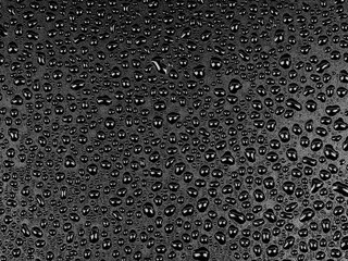 Water droplets on black background. water drops on black.