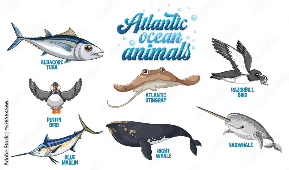 Wall mural Set of Animals in the Atlantic Ocean