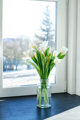 White tulip flowers on a home interior background near window. Sunny spring. Side view of beautiful bouquet. Valentines day, Mothers day, Womens day, birthday gift. Text place. Greeting card. Decor