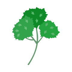 パセリ。フラットなベクターイラスト。
Parsley. Flat designed vector illustration.