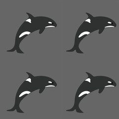 Fototapeta premium Vector color seamless pattern with killer whale.