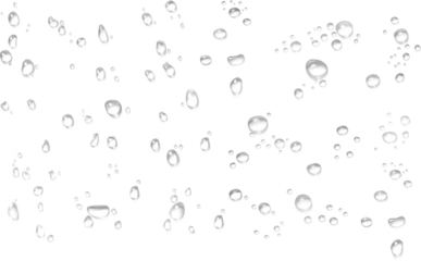 water drops rain droplets rainy fog droplets rainy drop transparent  fizz