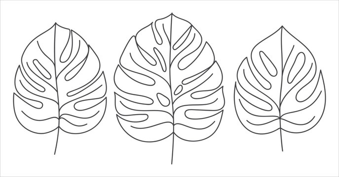 Monstera leaves linear icon set collection. Monstera tropical plant in linear icon. Monstera deliciosa leaves icon pack . Vector illustration