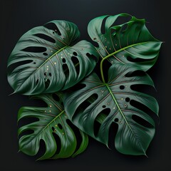 Beautiful colorful tropical leaves on dark background. Abstract background or wallpaper Generative AI.