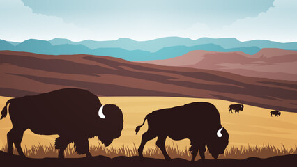bison grazing on a vast prairie with tall grass
