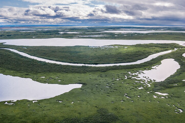 Aerial view of Timan tundra in Barents Sea coastal area