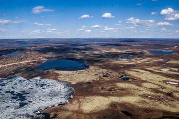Aerial view of Timan tundra in Barents Sea coastal area
