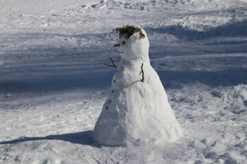 Fototapeta na wymiar Snowman made by kids, winter and christmas character