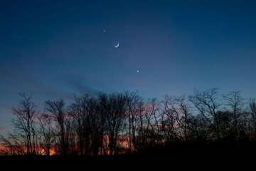 Planets in conjunction with young Moon above tree countryside silhouettes. © astrosystem